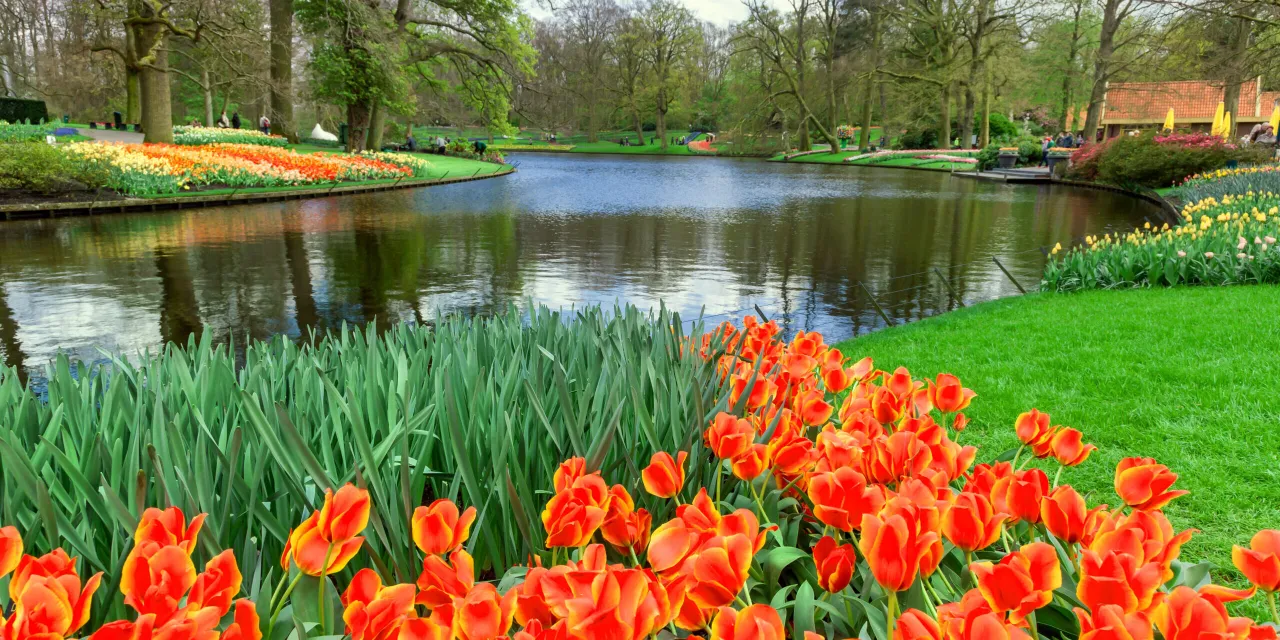 Zdjęcie Keukenhof: kiedy najlepiej jechać? Poznaj idealny czas na wizytę