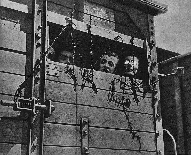 Zdjęcie Dzieci które przeżyły Auschwitz: ich historie i traumy po wojnie