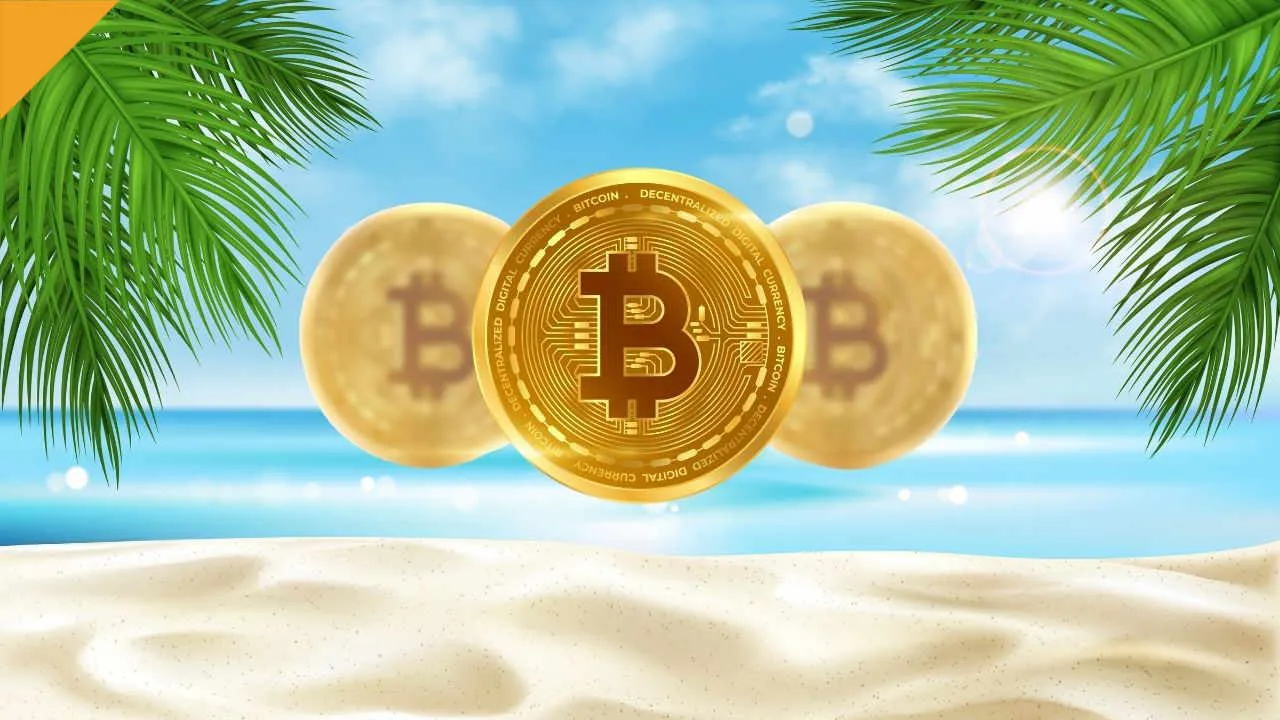 Zdjęcie Jak wypłacić kryptowaluty bez podatku i uniknąć finansowych strat