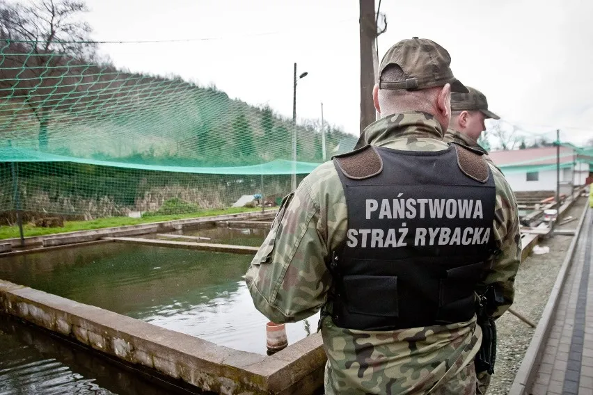 Zdjęcie Czy straż rybacka może zabrać wędki? Sprawdź, kiedy to się zdarza