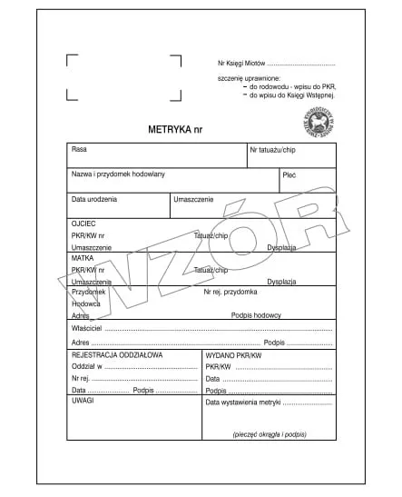 Zdjęcie Jak uzyskać rodowód dla psa - proste kroki i ważne informacje