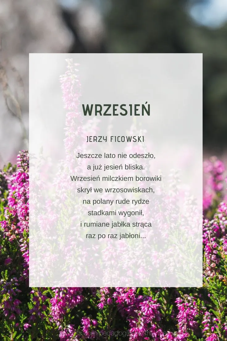 Zdjęcie Wiersze o wrześniu: odkryj piękno jesiennych zmian i zbiorów