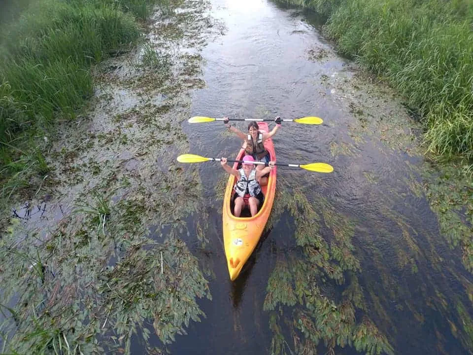 Zdjęcie Spływy kajakowe Kielce: Trasy, ceny i organizacja Twój przewodnik