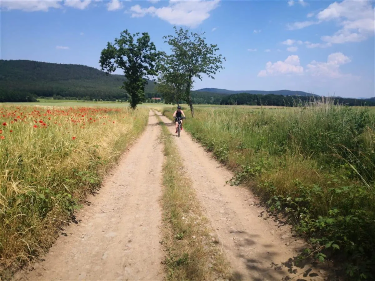 Zdjęcie Najlepsze trasy rowerowe w Bardo - odkryj ukryte skarby regionu