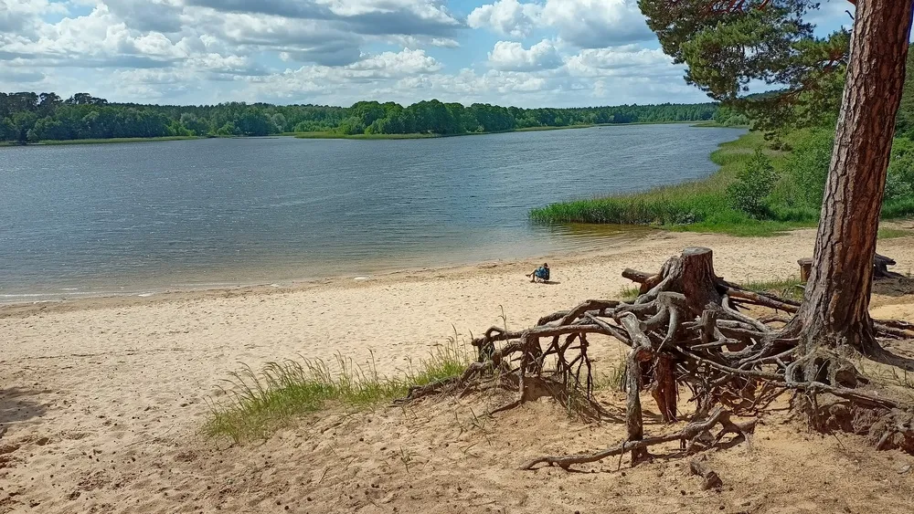 Zdjęcie Jezioro Wikaryjskie - najlepsze atrakcje i plaże na letni wypoczynek