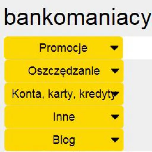Zdjęcie Jak zamknąć debet w Millennium i uniknąć dodatkowych kosztów