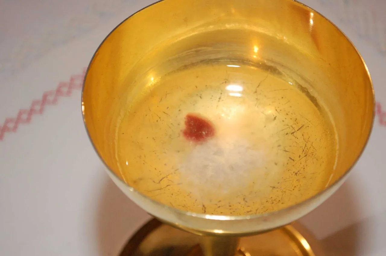 Zdjęcie Co takiego wydarzyło się podczas cudu eucharystycznego w Legnicy?