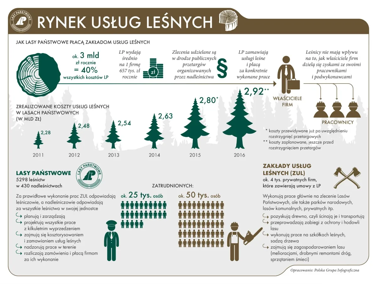 Zdjęcie Ile zarobisz na 1 ha lasu w Polsce? Dochody i koszty