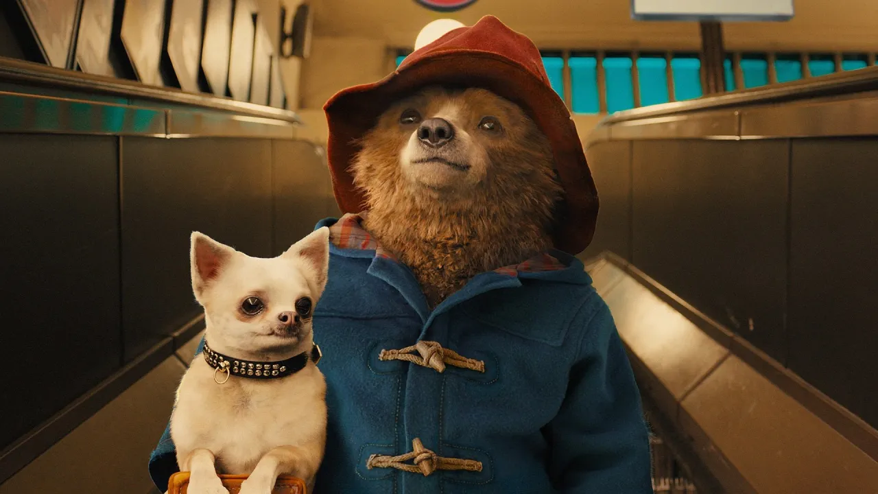 Zdjęcie Paddington in Peru: Miś podbija Amazonię - nowa przygoda