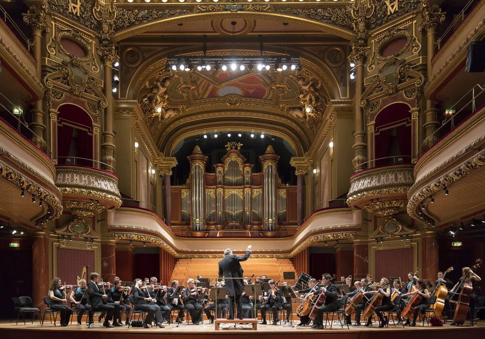 Zdjęcie Orkiestra smyczkowa jakie instrumenty? Poznaj skład i ich rolę