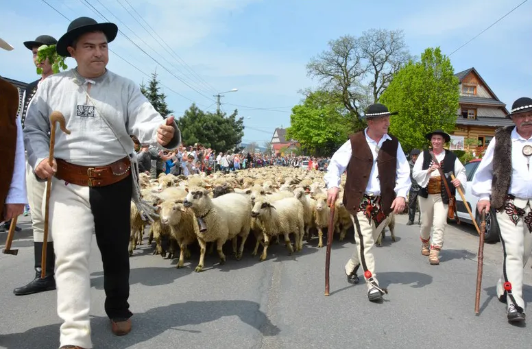 Zdjęcie Bacowanie: Karpacka Tradycja Pasterska - Kulturowy Skarb Gór