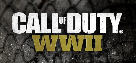Zdjęcie Call of Duty WW2 spolszczenie - pobierz i zainstaluj bezpiecznie