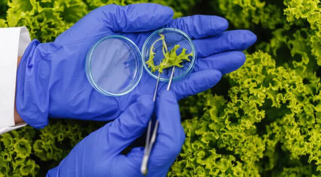 Zdjęcie Dónde estudiar biología: las mejores universidades en España