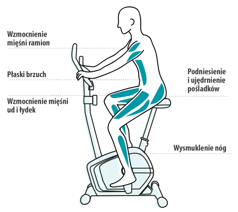 Zdjęcie Rower stacjonarny – jakie mięśnie pracują i jak je wzmocnić?