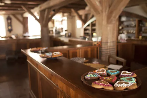 Zdjęcie Toruń: Przewodnik po atrakcjach, muzeach i piernikach. Zaplanuj wyjazd!