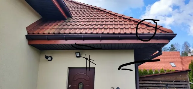 Zdjęcie Jak pozbyć się kuny z dachu - skuteczne metody i porady na problem