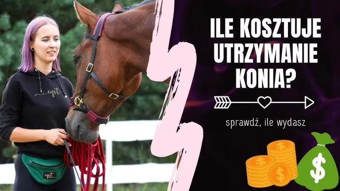 Zdjęcie Ile kosztuje weterynarz dla konia? Zaskakujące wydatki na opiekę
