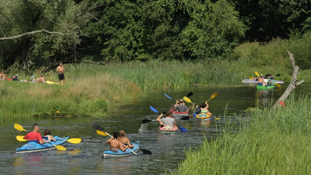 Zdjęcie Kajaki Małopolska: Najlepsze trasy i praktyczny przewodnik