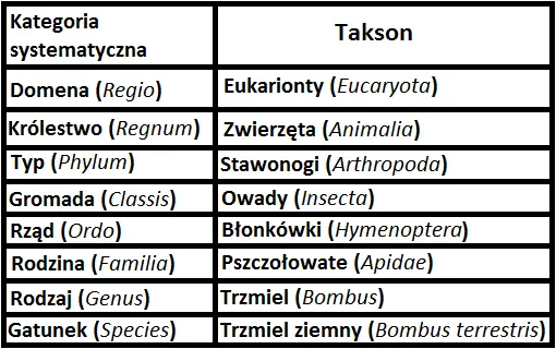 Zdjęcie Co to jest systematyka w biologii i dlaczego jest tak ważna?
