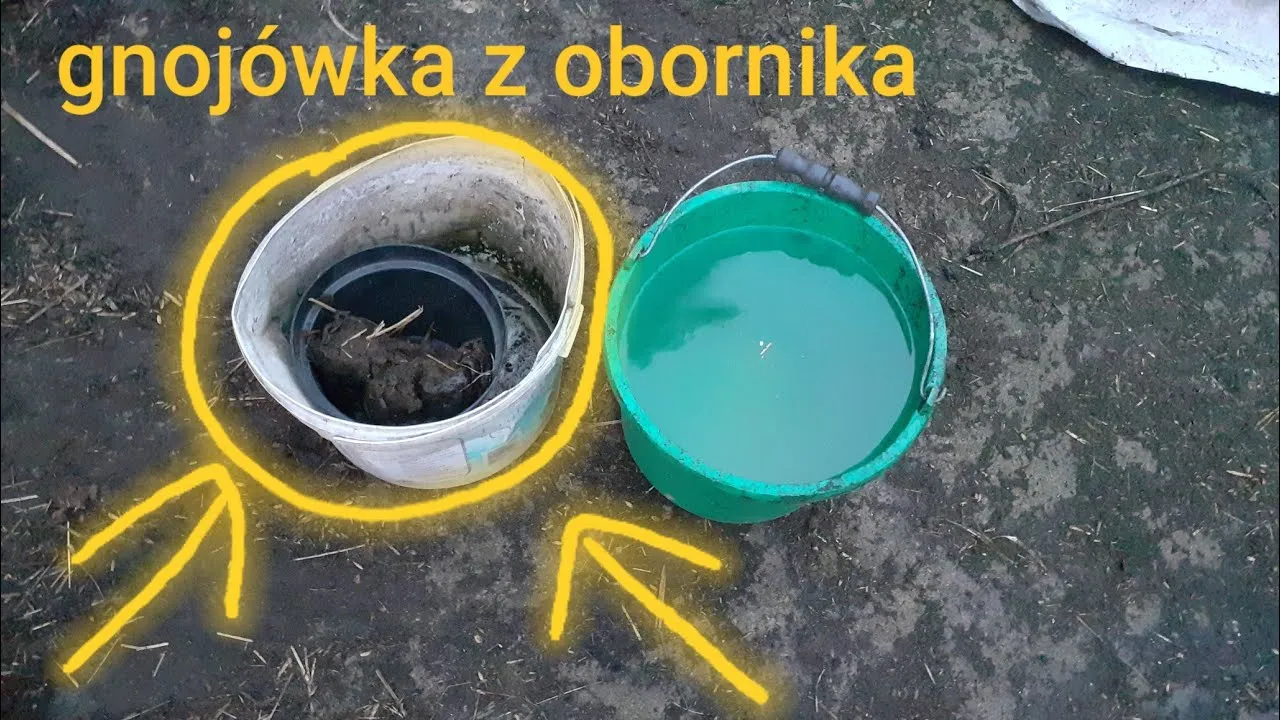 Zdjęcie Jak zrobić płynny nawóz z obornika granulowanego w prosty sposób