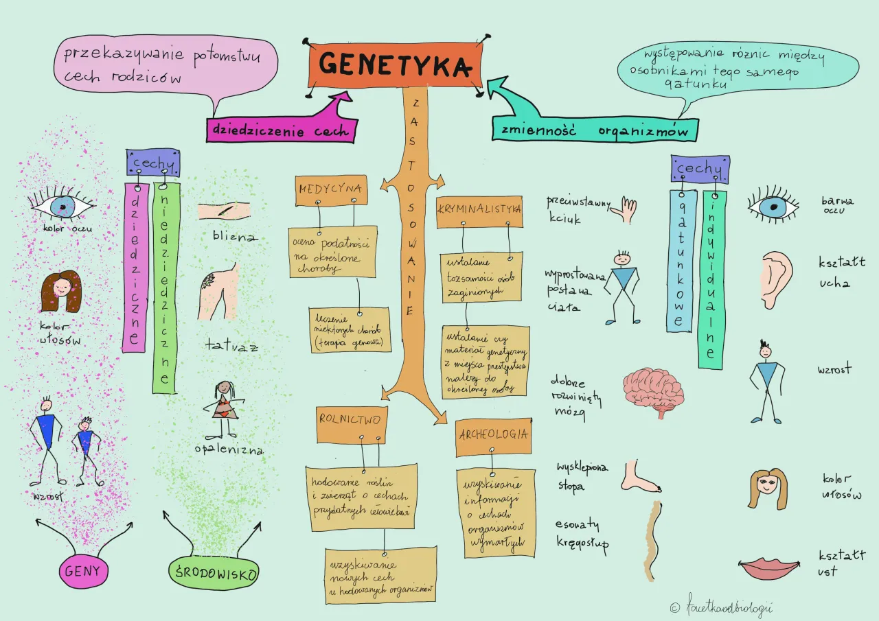 Zdjęcie Biologia: Czym jest genetyka i jak wpływa na dziedziczenie cech