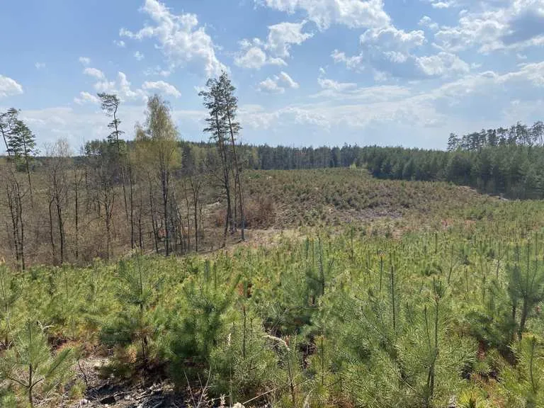 Zdjęcie Trasy rowerowe Mielec: Odkryj najlepsze szlaki i atrakcje dla rodzin
