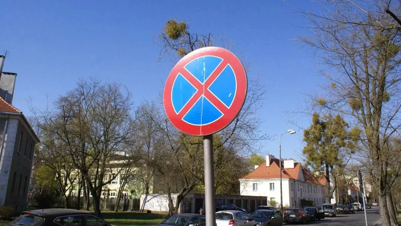 Zdjęcie Wykroczenie B-36: Jak uniknąć mandatu i konsekwencji prawnych