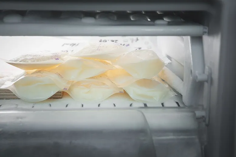 Zdjęcie Jak zasuszyć pokarm w piersiach: skuteczne techniki i przechowywanie mleka