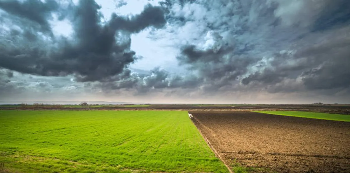 Zdjęcie Ile można zarobić na hektarze ziemi? Fakty, które zaskakują rolników