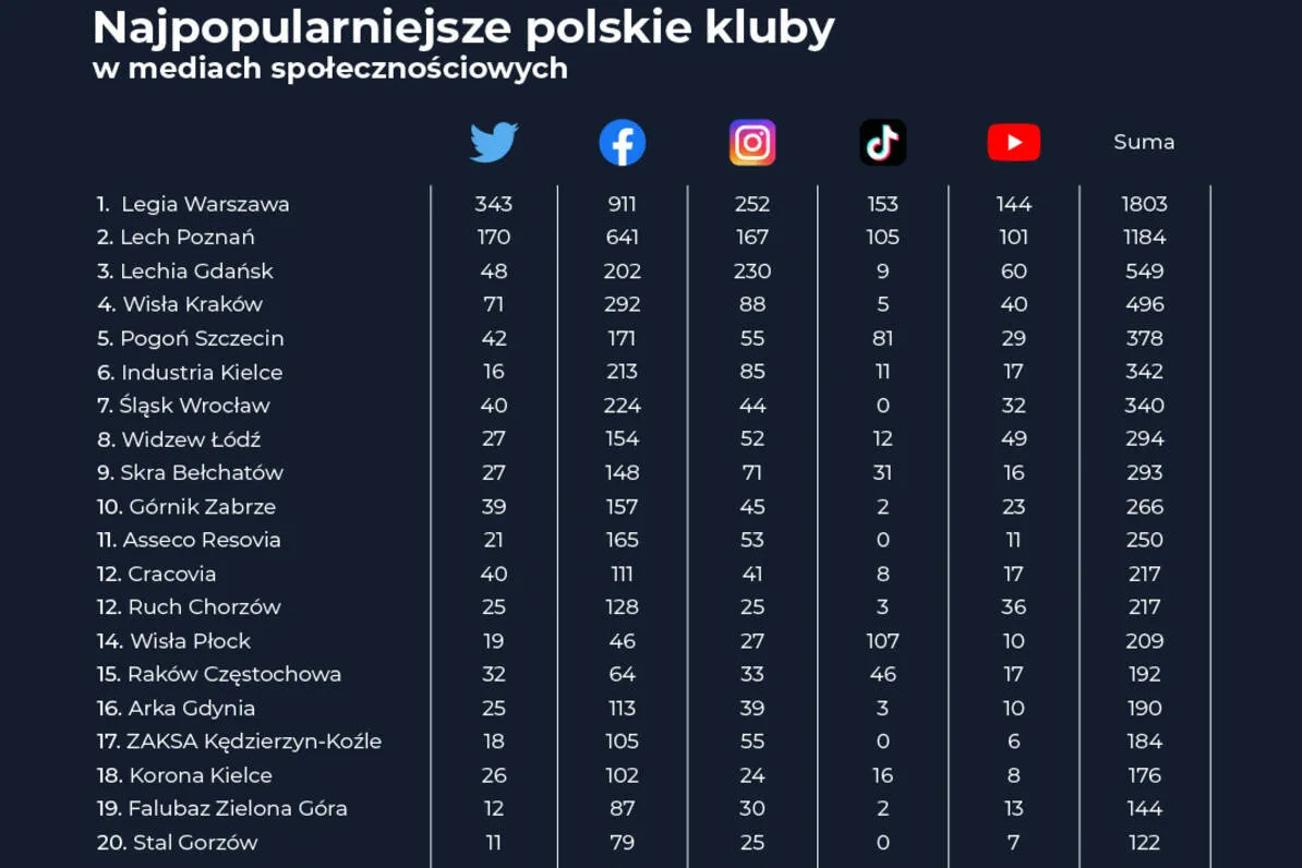 Zdjęcie Najlepsze polskie kluby siatkarskie: od PlusLigi do Tauron Ligi - ranking