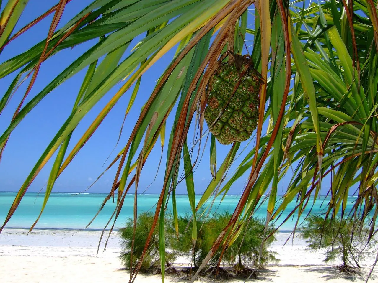 Zdjęcie Zanzibar: Idealny termin podróży bez rozczarowań i wysokich cen