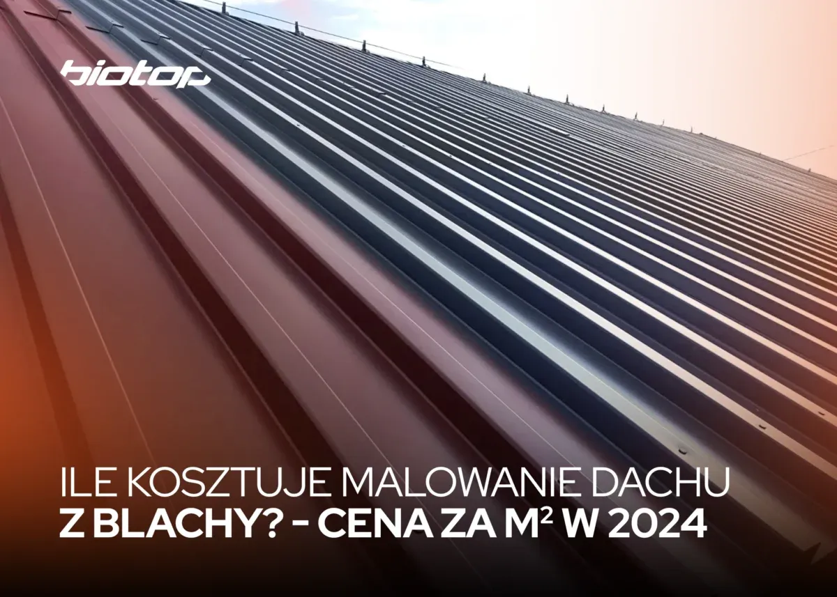 Zdjęcie Ile kosztuje malowanie dachu? Sprawdź ceny i ukryte koszty
