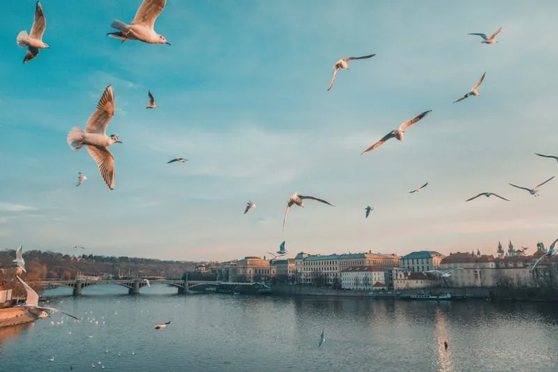 Zdjęcie Ile kosztuje nocleg w Pradze? Sprawdź ceny i oszczędzaj na podróży