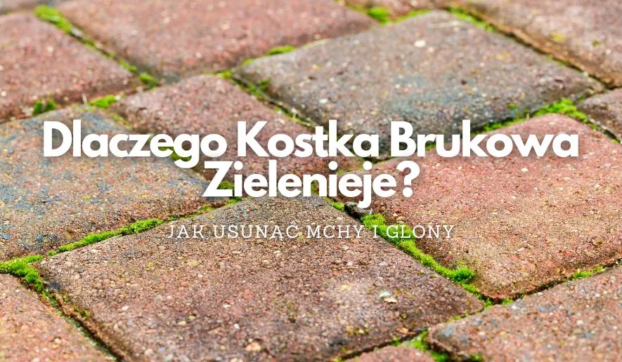 Zdjęcie Skuteczne metody na usunięcie zielonego nalotu z kostki brukowej