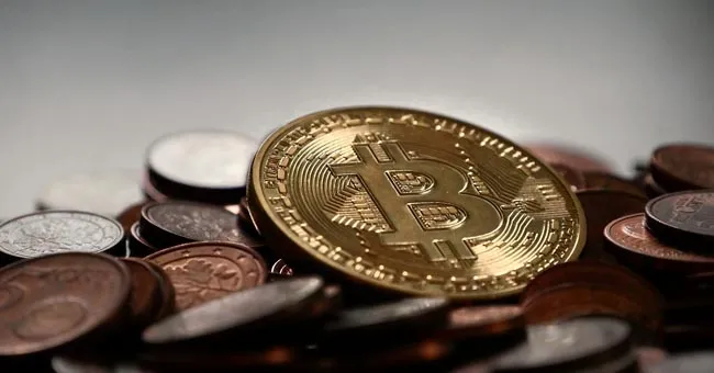 Zdjęcie Shikoku kryptowaluta: co warto wiedzieć o jej zaletach i potencjalnych ryzykach