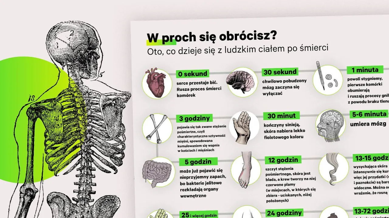 Zdjęcie Co się dzieje z ciałem po pogrzebie? Etapy rozkładu i tajemnice