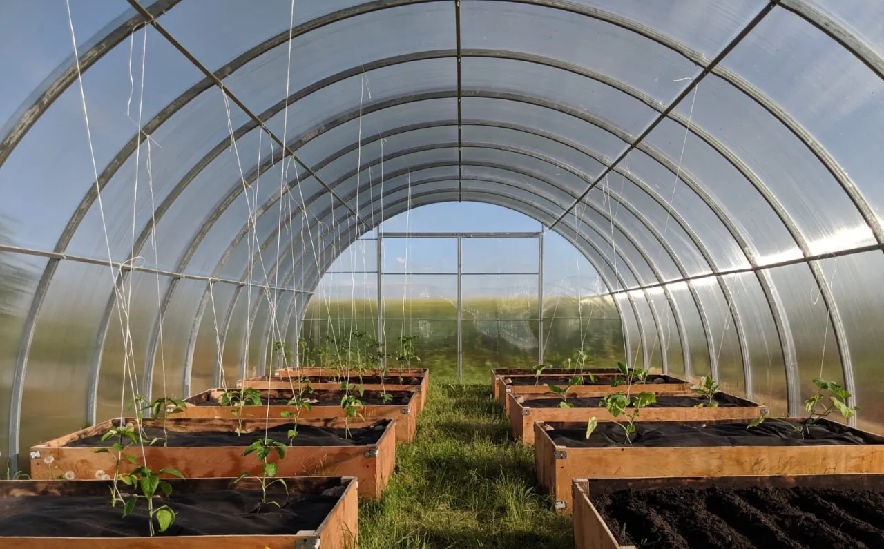 Zdjęcie Jak montować poliwęglan: uniknij najczęstszych błędów i problemów