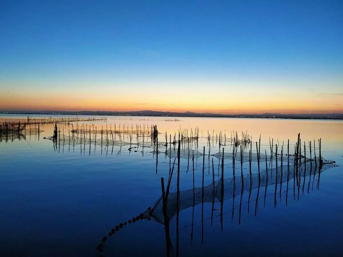 Zdjęcie Albufera de Valencia: tu gu&iacute;a para la paella, aves y atardecer m&aacute;gico