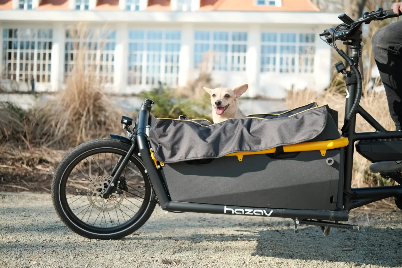 Zdjęcie Najlepsze transportery rowerowe dla psa - bezpieczeństwo i komfort podróży