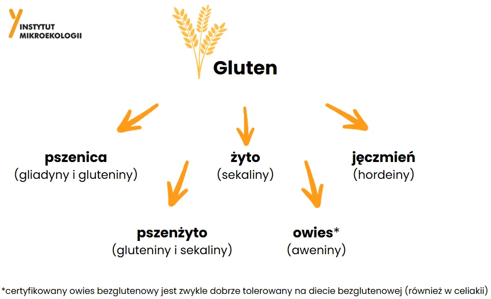 Zdjęcie W czym jest gluten i jak wpływa na zdrowie oraz dietę?