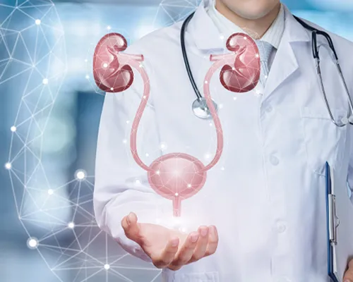 Zdjęcie Urolog gdzie najszybciej? Sprawdź, gdzie umówić się bez kolejek
