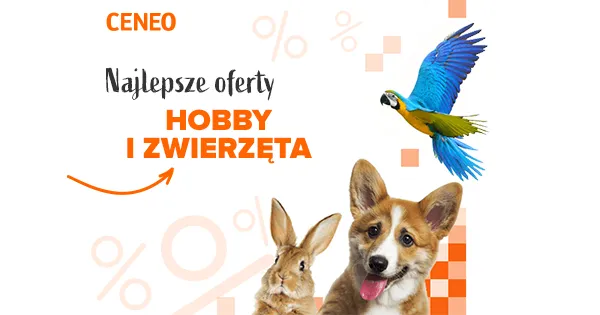 Zdjęcie Ile kosztuje wędka? Ceny, które zaskoczą każdego wędkarza