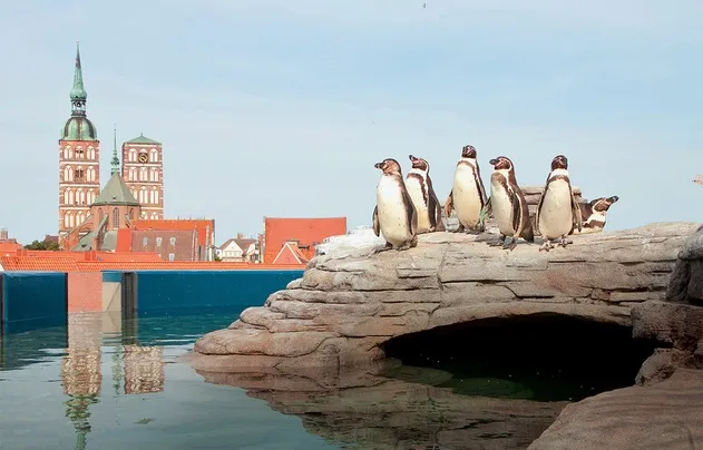 Zdjęcie Najciekawsze atrakcje w Anklam, które musisz zobaczyć podczas wizyty