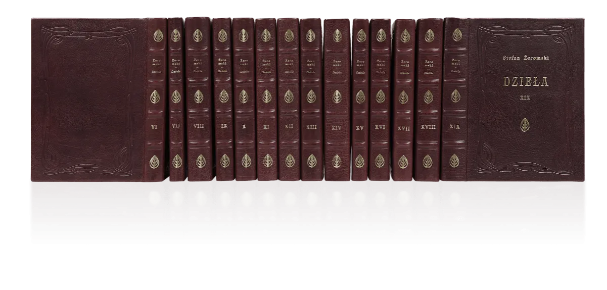 Zdjęcie Jakie książki wydał Stefan Żeromski? Odkryj jego najważniejsze dzieła