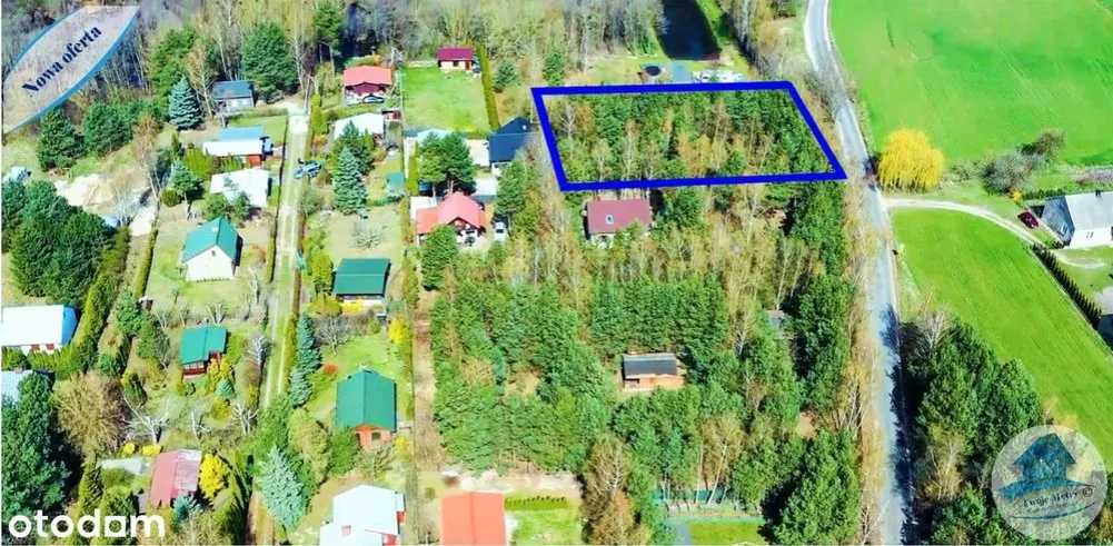 Zdjęcie Jezioro Głuszyńskie: zachwycające miejsce pełne atrakcji i spokoju