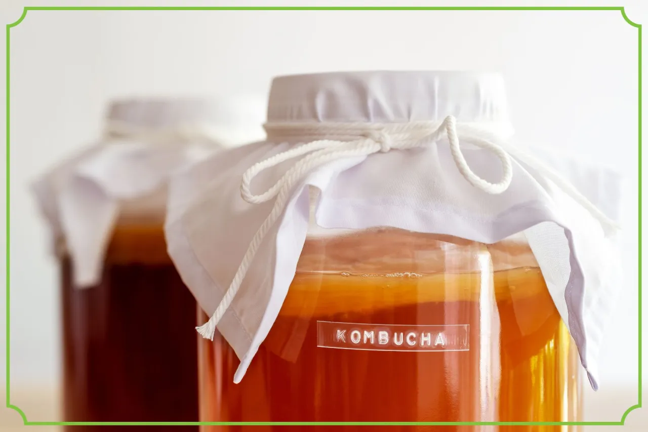 Zdjęcie Kombucha ile może stać, aby uniknąć kwaśnego smaku i octu