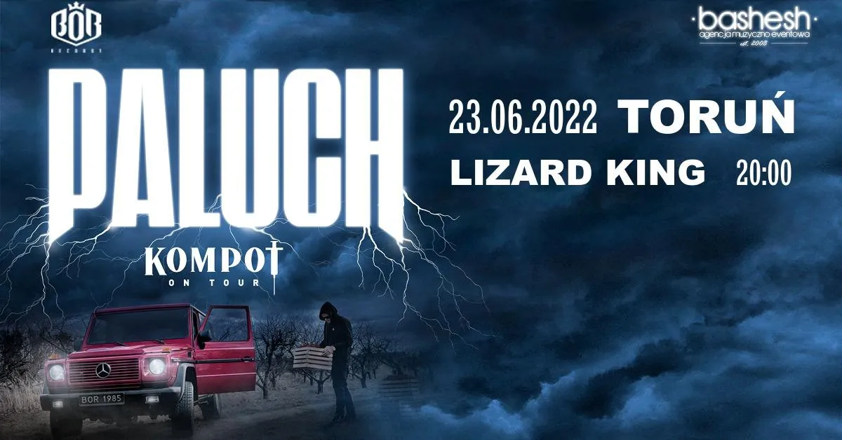 Zdjęcie Ile trwa koncert Palucha? Czas trwania i co warto wiedzieć