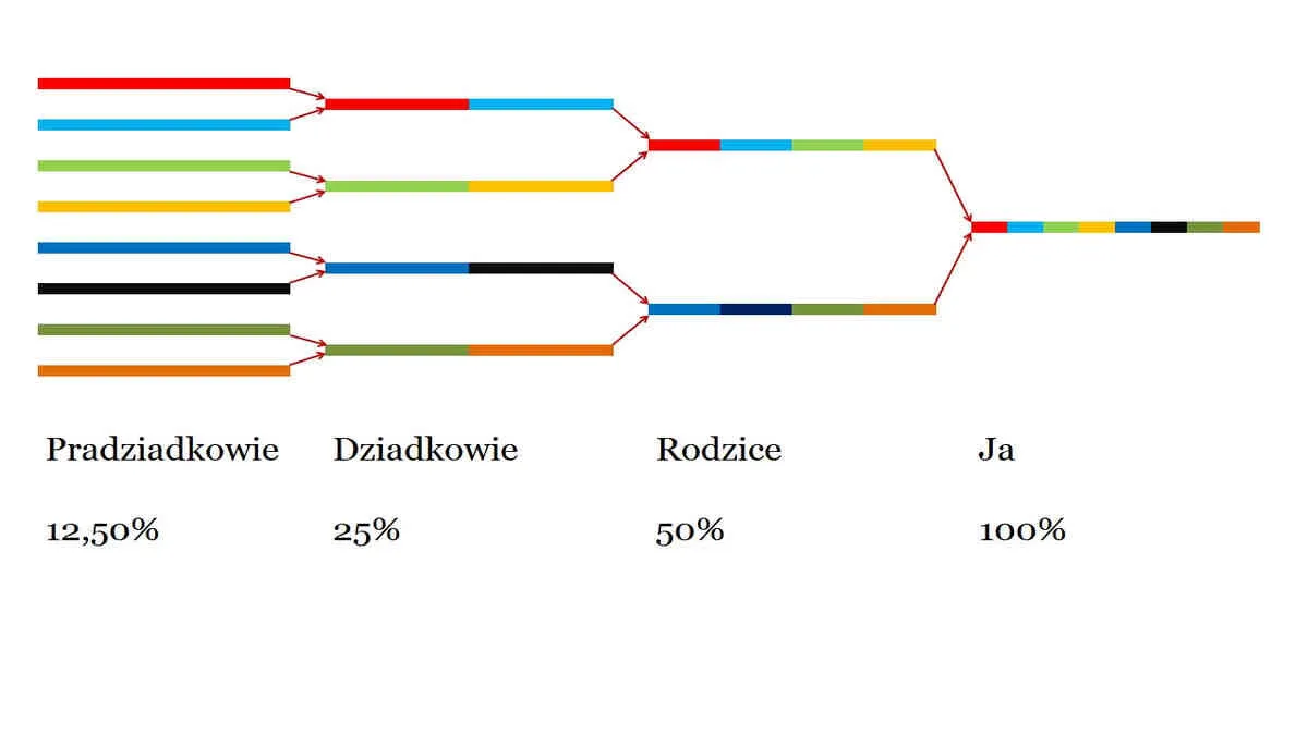 Zdjęcie Kiedy wynaleziono badania DNA? Kluczowe odkrycia, które zmieniły świat