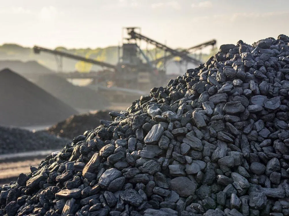 Zdjęcie Ile kosztuje ekogroszek? Sprawdź ceny i co wpływa na koszty