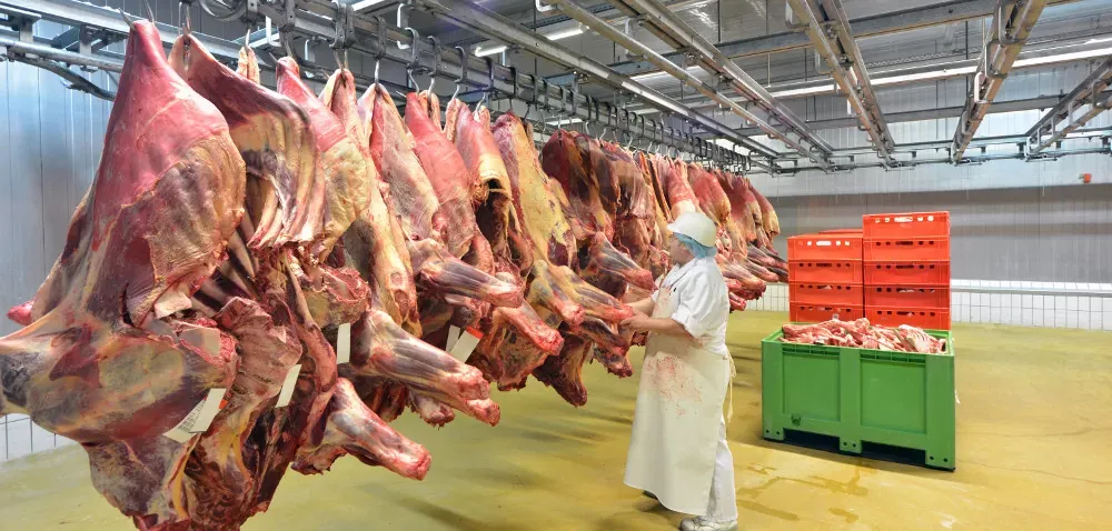 Zdjęcie Ile kosztuje kilo wołowiny? Ceny, promocje i porady zakupowe